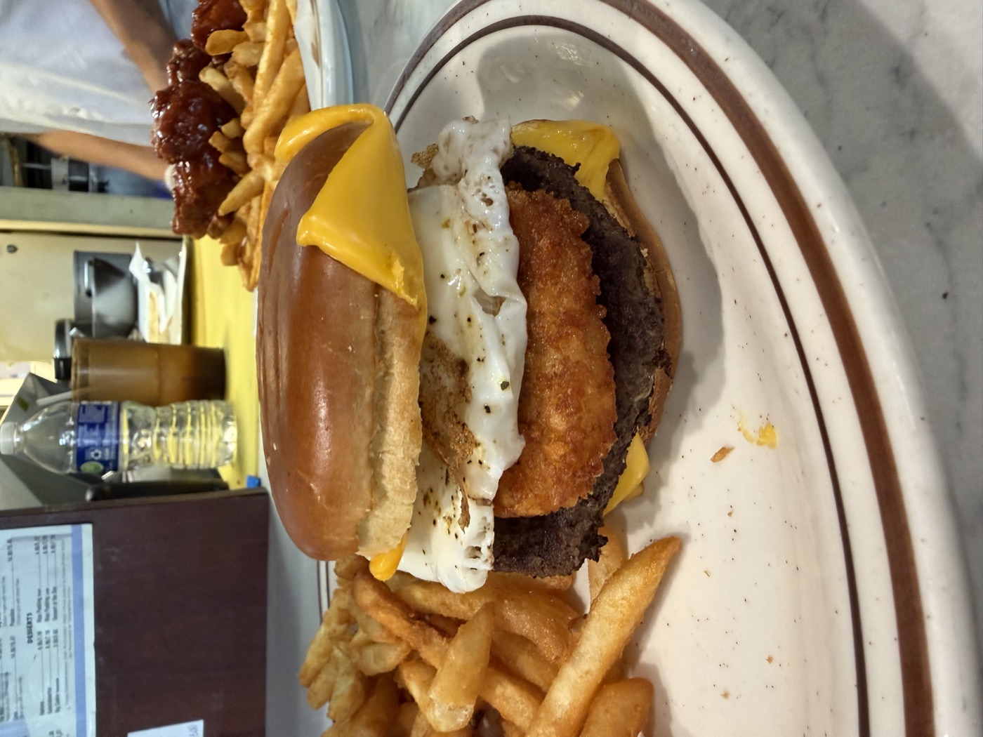 Gyro Palace cheeseburger with fries